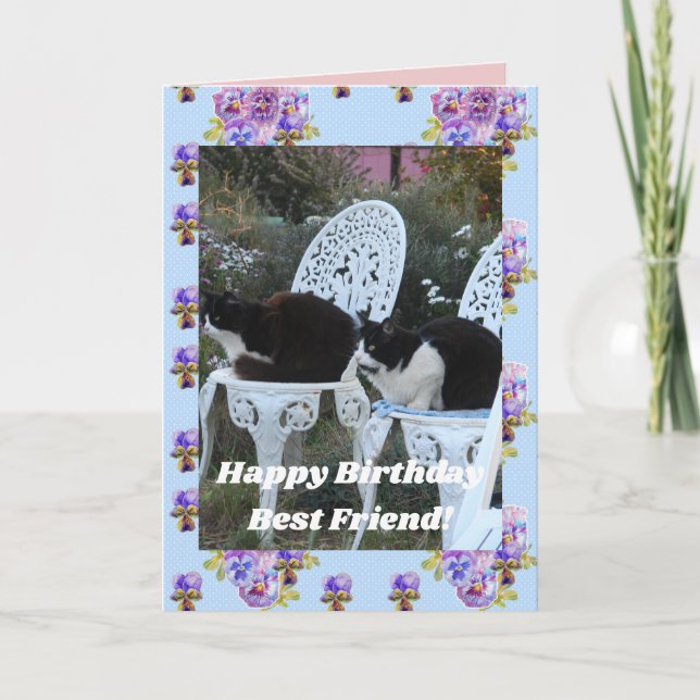 Tuxedo Cat Cute Funny Birthday Friend Cats Card (Front)