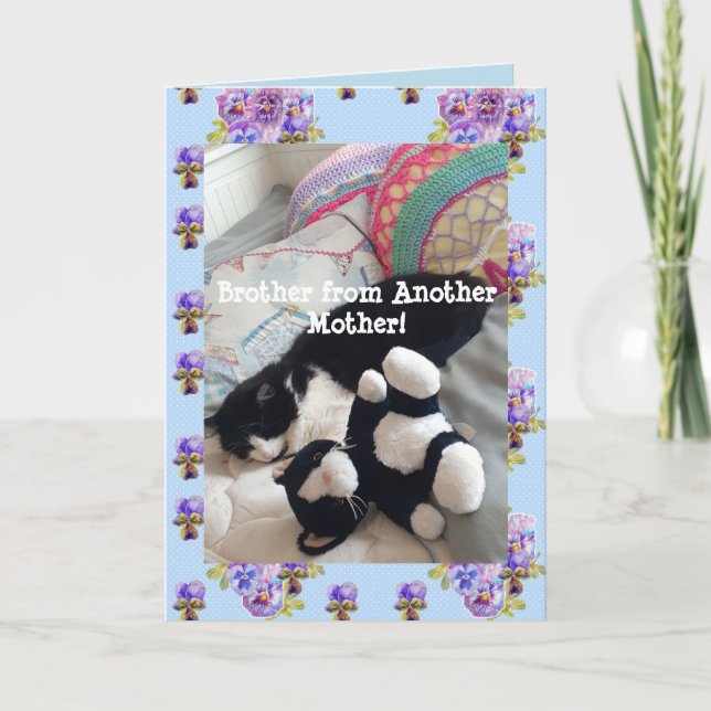 Tuxedo Cat Cute Funny Brother Cats Card (Front)