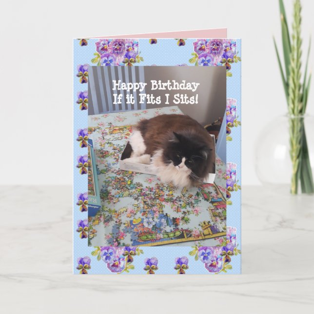 Tuxedo Cat Cute Funny Cats in Boxes Cats Card (Front)