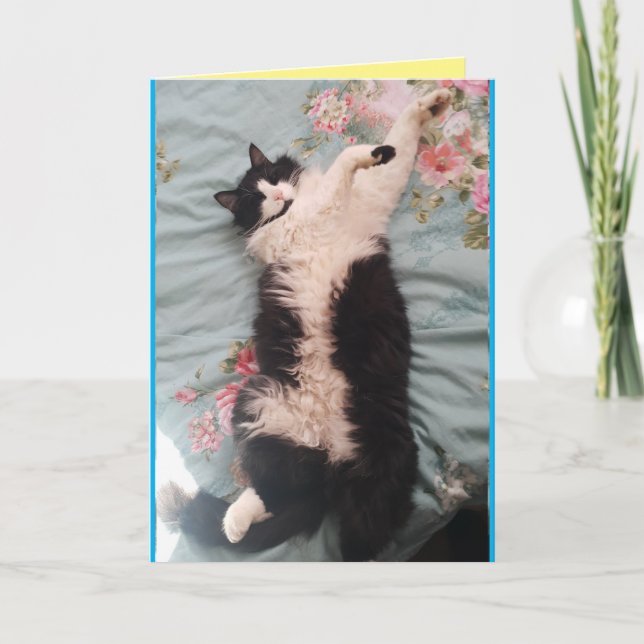 Tuxedo Cat Cute Funny Humour Sleeping Cats Card (Front)