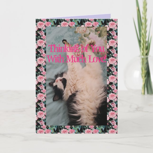 Tuxedo Cat Cute Funny Quote Air-Kneading Card (Front)