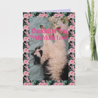 Tuxedo Cat Cute Funny Quote Air-Kneading Card