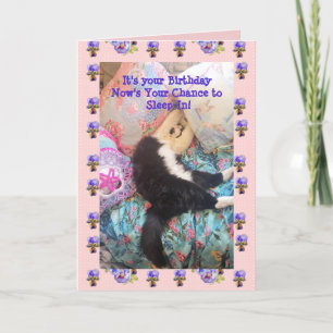 Tuxedo Cat Cute Funny Sleeping-In Cats Viola Card