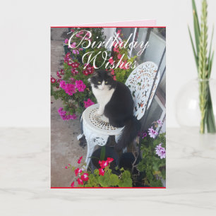 Tuxedo Cat Cute Pretty Flowers Cats Birthday Card
