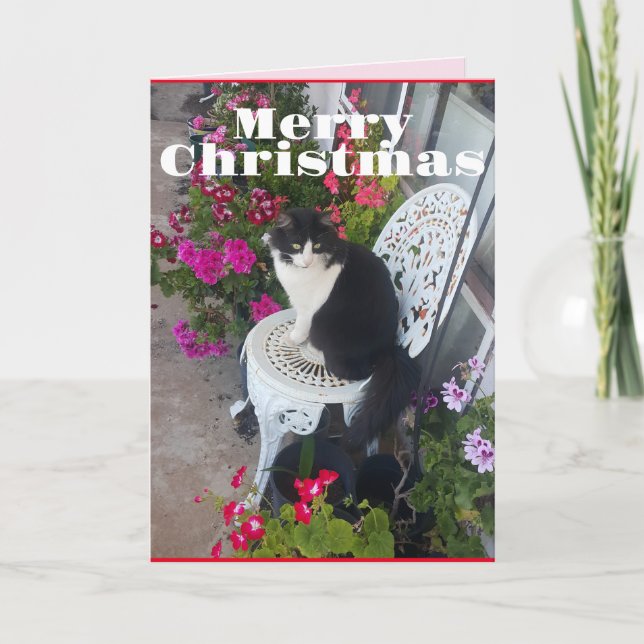 Tuxedo Cat Cute Pretty Flowers Cats Christmas Card (Front)