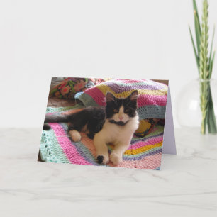 Tuxedo Cat Cute with Pretty Crochet Rug Card