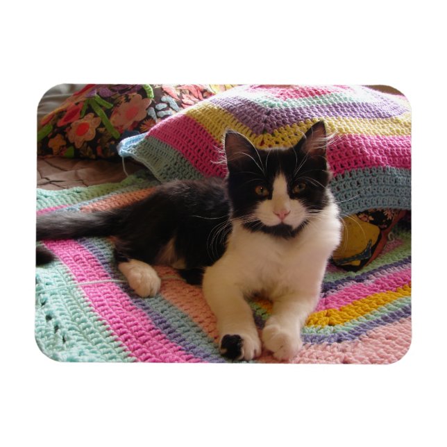 Tuxedo Cat Cute with Pretty Crochet Rug Card Magnet (Horizontal)