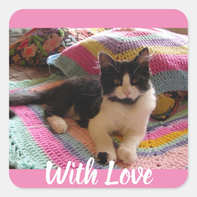 Tuxedo Cat Cute with Pretty Crochet Rug Postcard Square Sticker (Front)