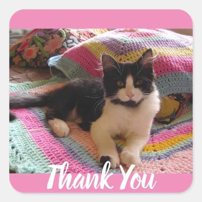 Tuxedo Cat Cute with Pretty Crochet Rug Thank You Square Sticker (Front)