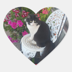 Tuxedo Cat Cute with Pretty Flowers Black Cats Heart Sticker