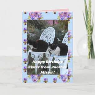 Tuxedo Cat Funny Birthday Sister Mister Cats Card