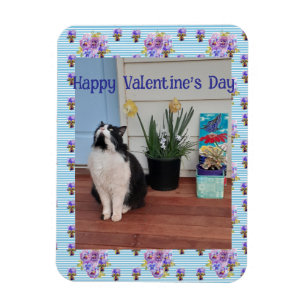 Tuxedo Cat Funny Cute Cats Valentines Day Blue Magnet