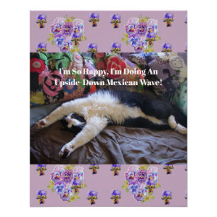 Tuxedo Cat Funny Cute doing a Mexican Wave Quote Poster