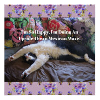 Tuxedo Cat Funny Cute doing a Mexican Wave Quote