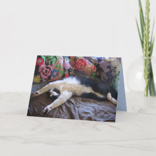 Tuxedo Cat Funny Mexican Wave Cute Birthday Card