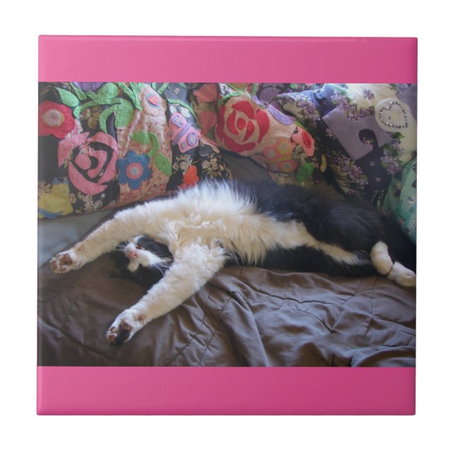 Tuxedo Cat Funny Mexican Wave Cute Birthday Ceramic Tile (Front)
