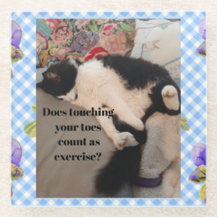 Tuxedo Cat Funny Quote Black and White Cats Girls Glass Coaster