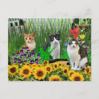 Tuxedo Cat in Flower Garden / Collage Art Postcard