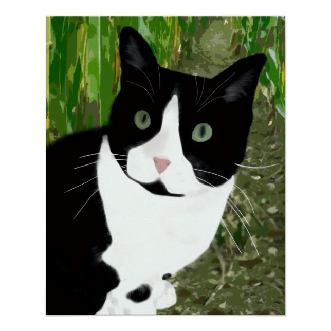 Tuxedo Cat in the Cornfield Poster (Front)