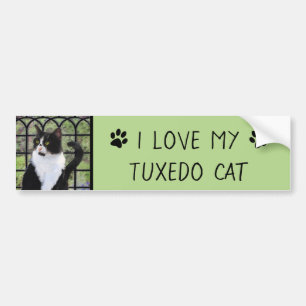 Tuxedo Cat in Window Painting Original Animal Art Bumper Sticker