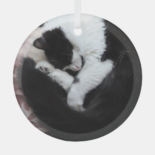 Tuxedo Cat Kitty Cats Black and White Caturday     Glass Tree Decoration