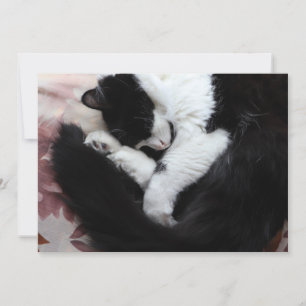 Tuxedo Cat Kitty Cats Black and White Caturday Holiday Card