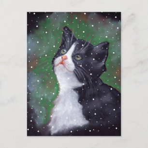 Tuxedo Cat Looking Up At Snowflakes, Painting Postcard