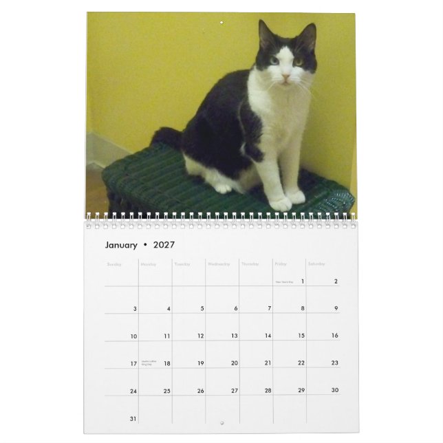 Tuxedo Cat "Molly" Calendar (Jan 2027)