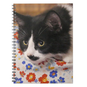 Tuxedo Cat Notebook