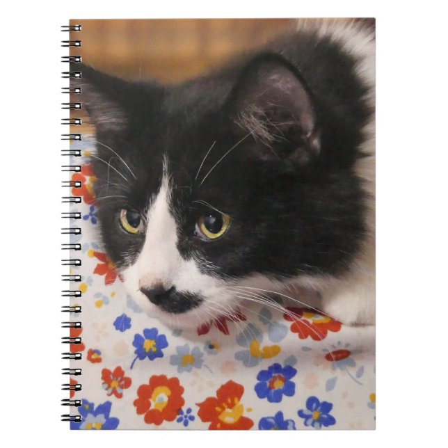 Tuxedo Cat Notebook (Front)