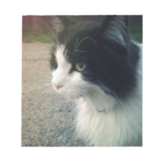 Tuxedo Cat Notepad