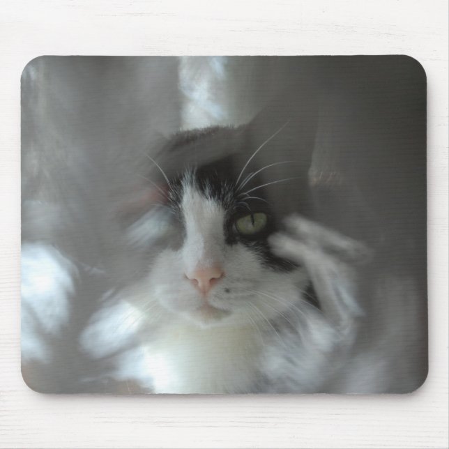 Tuxedo cat peering through branches mouse pad (Front)