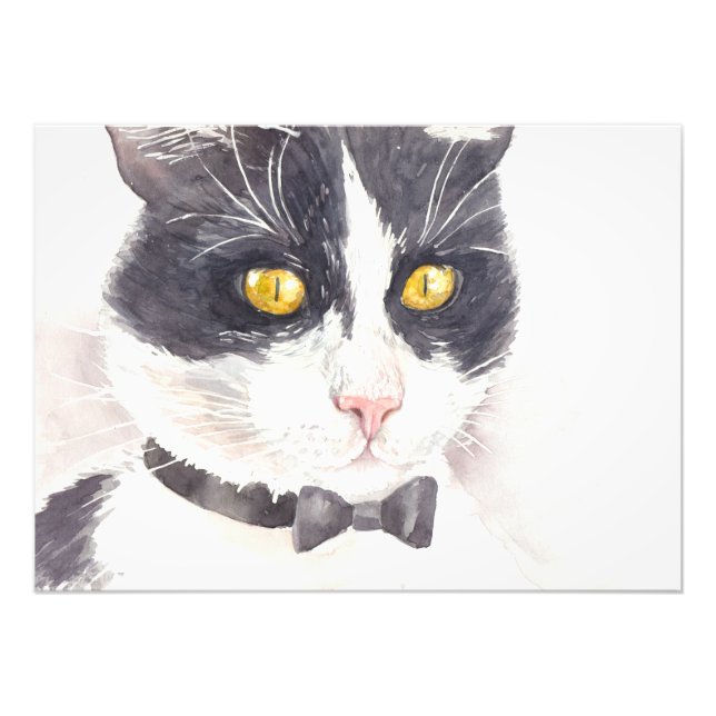 Tuxedo cat photo print (Front)