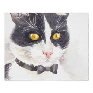 Tuxedo cat poster