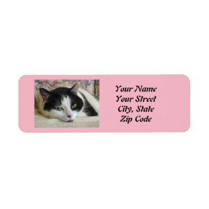 Tuxedo Cat Return Address Labels
