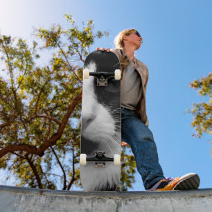 Tuxedo Cat Skateboard