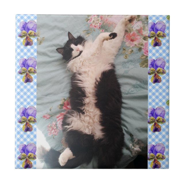 Tuxedo Cat Sleeping Funny Cats viola Ceramic Tile (Front)