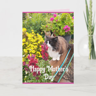 Tuxedo Cat Sniffing Flowers Funny Mothers Day Card