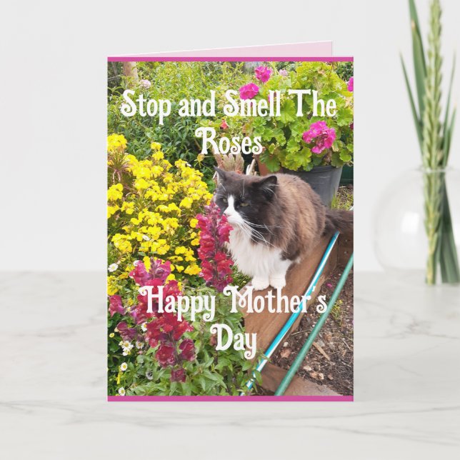 Tuxedo Cat Sniffing Flowers Funny Mothers Day Pink Card (Front)