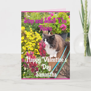 Tuxedo Cat Sniffing Flowers Funny Valentines Day Card