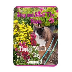 Tuxedo Cat Sniffing Flowers Funny Valentines Day Magnet
