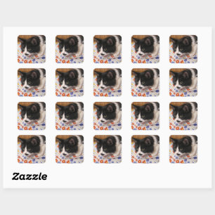 Tuxedo Cat Square Sticker