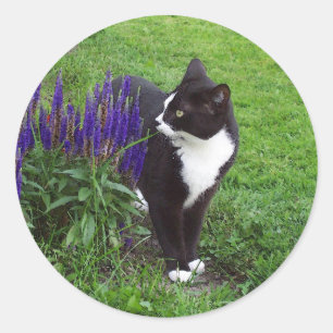 Tuxedo cat watercolor classic round sticker