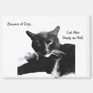 Tuxedo Cat with Shady Smile  Magnet