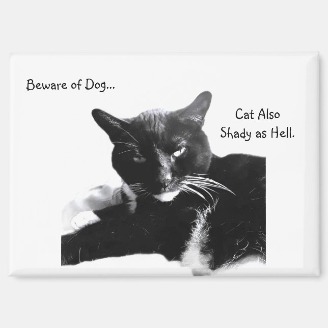 Tuxedo Cat with Shady Smile  Magnet (Front)