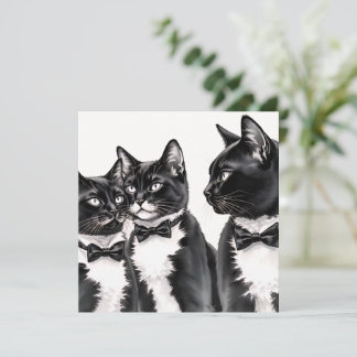 Tuxedo Cats Greetings Card