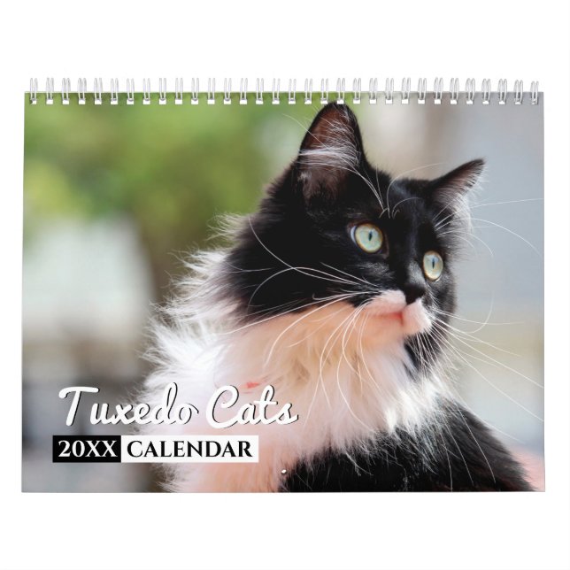 Tuxedo Cats Photo Wall Calendar (Cover)