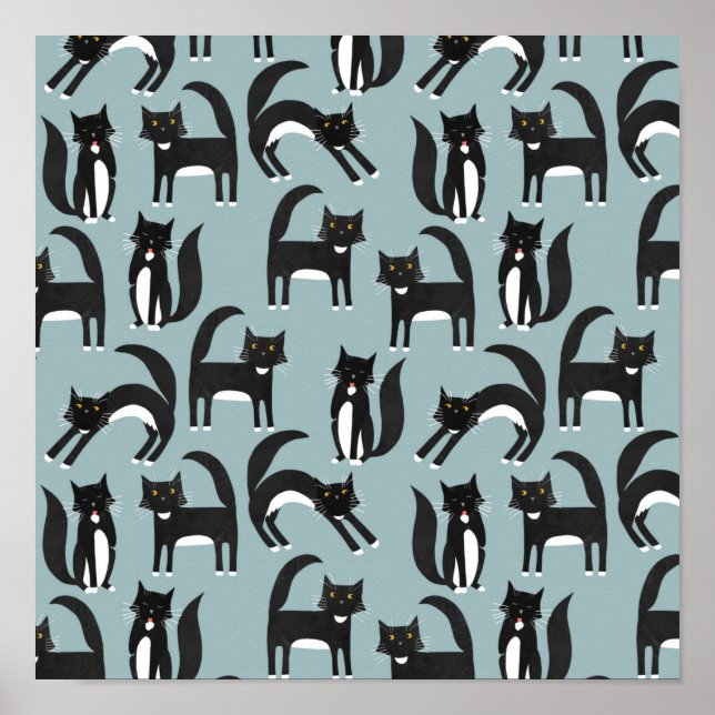 Tuxedo Cats Poster (Front)