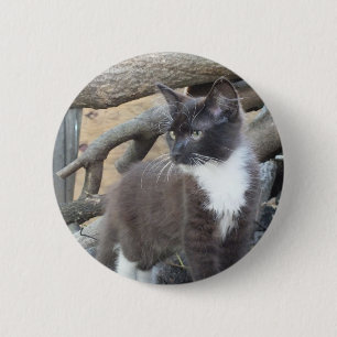 Tuxedo Kitten 6 Cm Round Badge