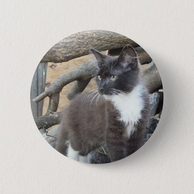 Tuxedo Kitten 6 Cm Round Badge (Front)